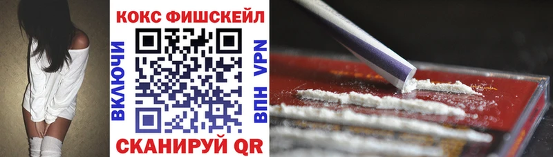 Купить где  Кинель  COCAIN Fish Scale 