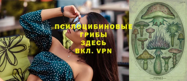 индика Яранск